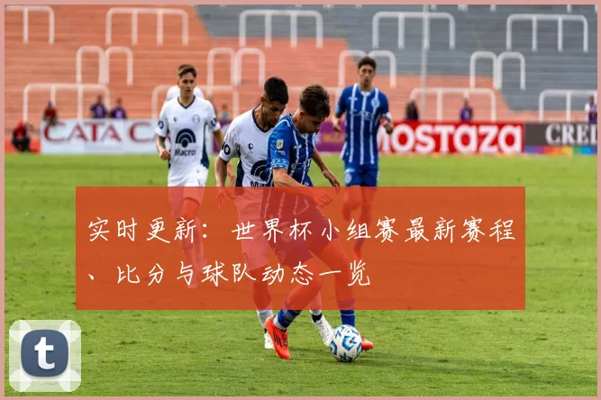 实时更新：世界杯小组赛最新赛程、比分与球队动态一览