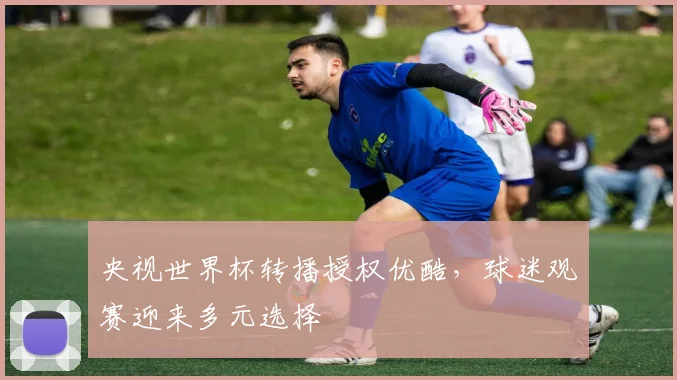 央视世界杯转播授权优酷，球迷观赛迎来多元选择
