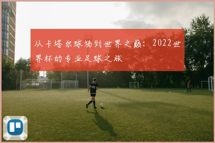 从卡塔尔球场到世界之巅:2022世界杯的专业足球之旅