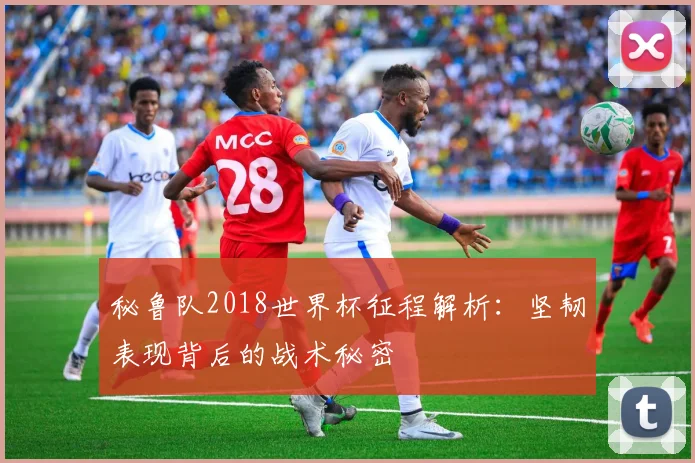 秘鲁队2018世界杯征程解析:坚韧表现背后的战术秘密