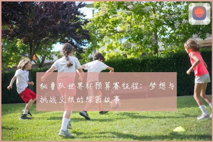 秘鲁队世界杯预算赛征程：梦想与挑战交织的绿茵故事