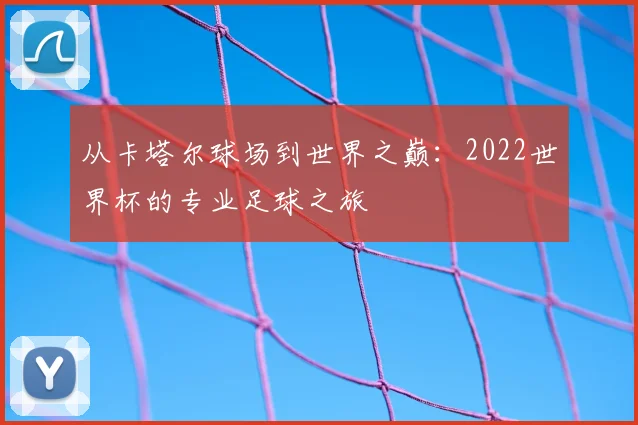 从卡塔尔球场到世界之巅:2022世界杯的专业足球之旅