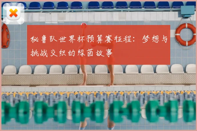 秘鲁队世界杯预算赛征程：梦想与挑战交织的绿茵故事